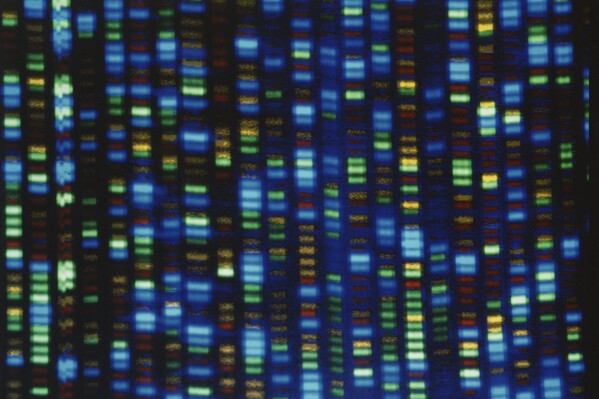 Takeaways from AP’s report on access to gene therapies for rare diseases