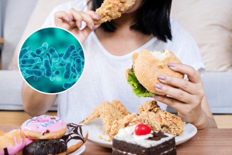 Food Addiction Linked to Gut Bacteria