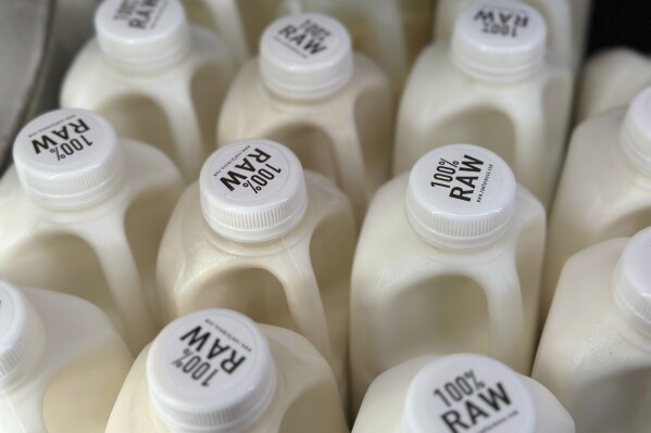 Here’s why raw milk drinkers need to be concerned about bird flu in US dairy cows