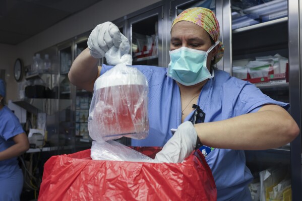 US surgeons transplant a gene-edited pig kidney into a patient for the first time