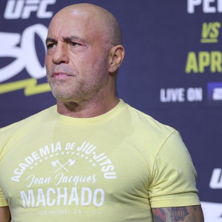 Joe Rogan Apologizes to Podcast Guestâ'Didn't Mean to Hurt Your Feelings'