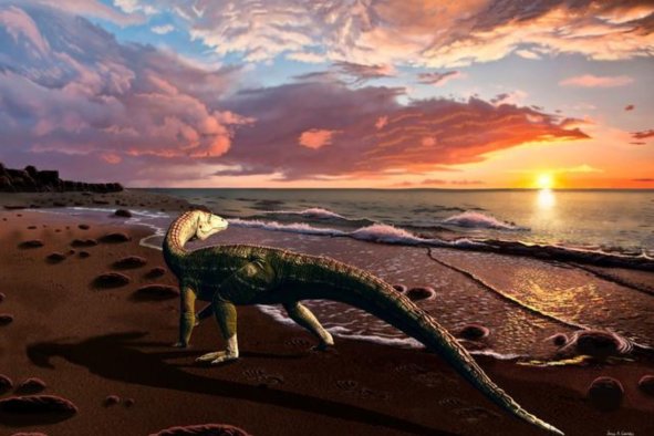 'What the Hell Is This?': Crocodile-Like Fossil Rewrites Triassic History