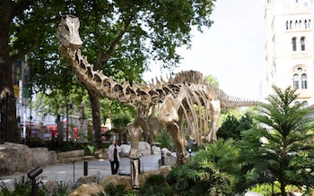 Natural History Museum Gardens: This brand-new bronze diplodocus is a huge Jurassic perk