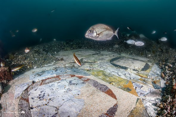 Remarkable Roman Marble Mosaic Revealed in Notorious Sunken City