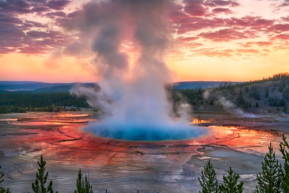 Yellowstone Study Reveals Never-Before-Seen Organisms Living in Hot Springs