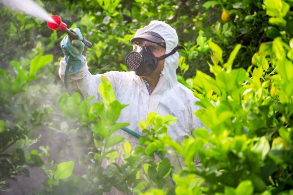 Cancer Risk From Pesticides 'Comparable' to Smoking, Scientists Claim