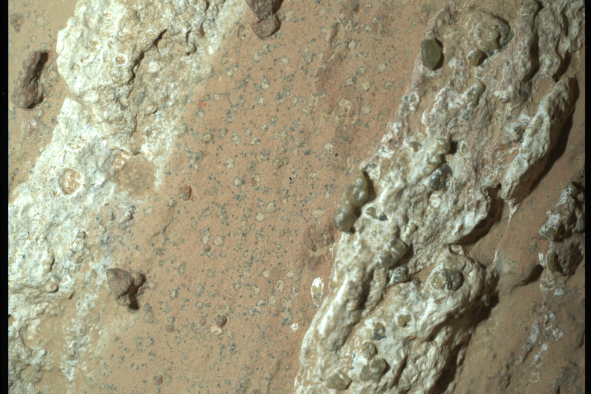 Mars Rock May Hold Ancient Alien Life Trace Says NASA After 'Big Surprise'