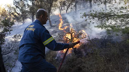 Wildfire smoke may be worse for dementia risk than other forms of air pollution, study finds