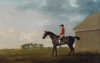 He’s the greatest painter of horses of all time – but George Stubbs’s art hides a grisly secret