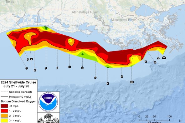 Map Reveals Fish-Killing 'Dead Zone' Size of New Jersey in Gulf of Mexico