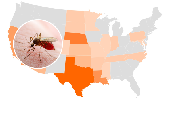 West Nile Virus Map Shows US Cases As Spike Feared: 'Remain Vigilant'