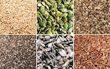 Seeds are the most underrated superfood. Here’s how to add them to your diet