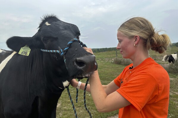 Bird flu restrictions cause heartache for 4-H kids unable to show off livestock at fairs across US