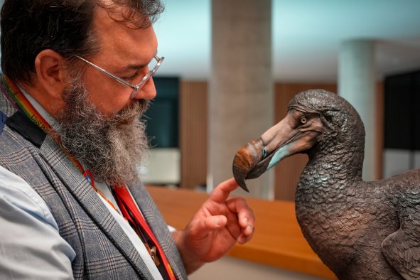 Scientists Unravel Dodo's Secrets Over 300 Years After Its Extinction