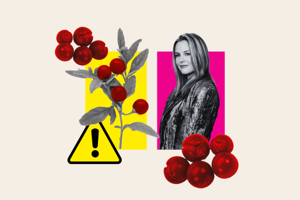 Fact Check: Was Alicia Silverstone in Danger After Eating Toxic Fruit?