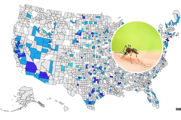 West Nile Virus Maps Show Cases in US This Year