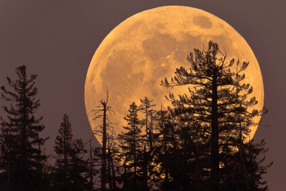 Full Moon and Partial Eclipse: When to Catch Harvest Supermoon in September