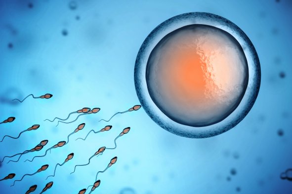 Scientists Reveal Invisible Threat to Male Fertility