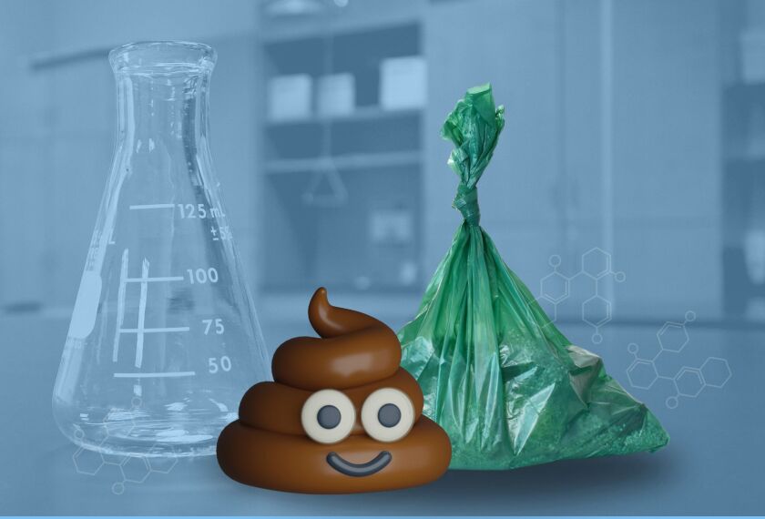 Holy Excrement! How Poop and Other Kid Fascinations Can Ignite a Passion for STEM