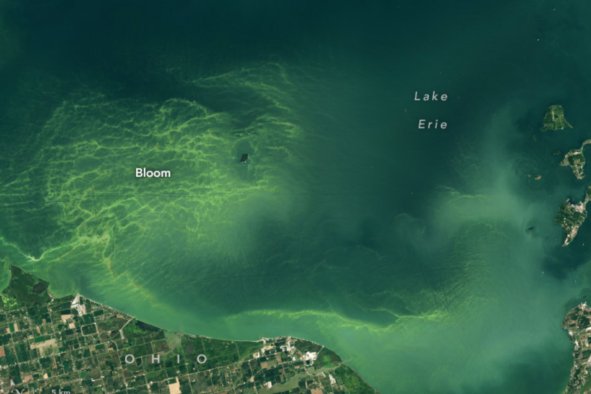 Lake Turns Green as Toxic Scum-Making Algae Bloom: 'Stay out of the Water'