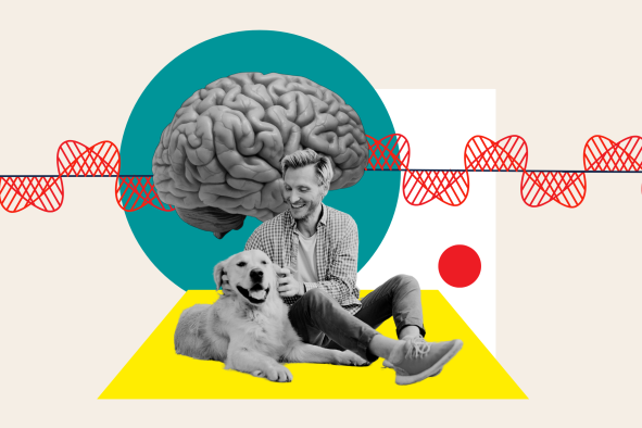 How Your Dog Changes Your Brain