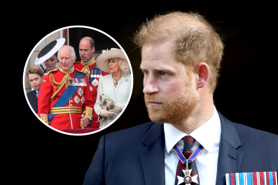 Prince Harry Birthday Posts 'Protect' Royals