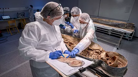 Have archaeologists uncovered the remains of French poet Joachim du Bellay at Notre-Dame Cathedral?