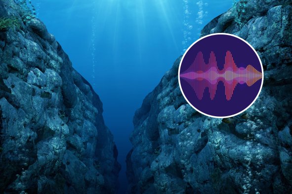 Mystery of Strange Noises Around Deepest Ocean Trench Finally Solved