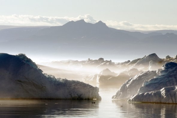 Unique Polar Light Could Save Biodiversity