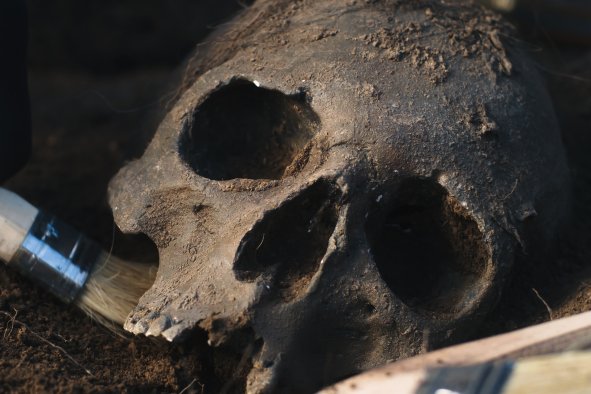 Skeletons Discovered in Medieval Fort May be Victims of Mongol Invaders