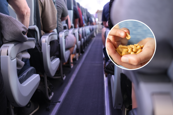 Scientists Debunk Common Airplane Nut Allergy Myth