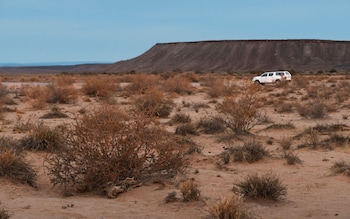 Are you a Mad Max fan? Read this brilliant eco-thriller